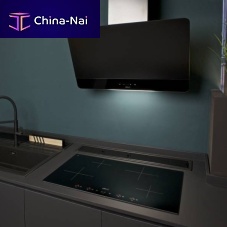 Wall-mounted range hood LEAF VERTICALwith built-in lightingwith touchscreenClass A