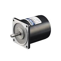 Single-phase torque motor TDG seriesinduction220 V110 V