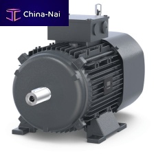 AC servomotor D seriesasynchronousIP65IP55