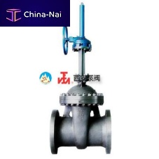 Valve with handwheel c0044gateHastelloy®nickel