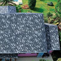 Roof shingle DRAGON