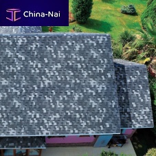 Roof shingle DRAGON