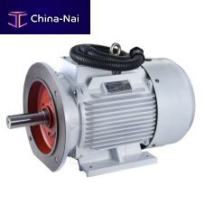 Compressor motor ZYS Seriesthree-phaseasynchronous220 V