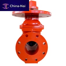 Gate valve HGN-300FFflangecoatediron