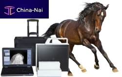 Veterinary radiography acquisition system DRportable
