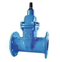 Wedge gate valve 2 seriesfor waterflangecast iron