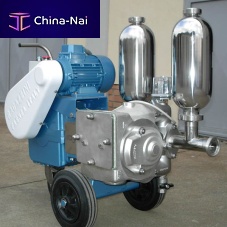 Piston pump 2NCMfor chemicalselectricstationary