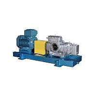 2 screws pump W80waterfuelwith electric motor