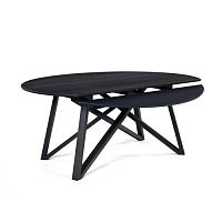 Contemporary table FLOWERS : WINGSwoodenovalrectangular