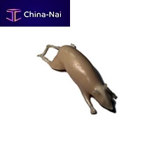 MRI veterinary test phantom ultrasound imagingX-ray