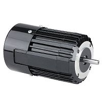 AC motor 34R seriesinduction230 V115 V