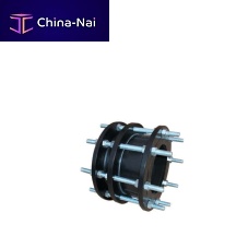 Dismantling joint D100