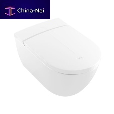 Plastic toilet seat VICLEAN-I 100: V0E100