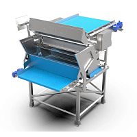 Sorter for the food industry opticalautomaticprocess