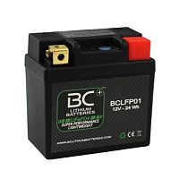 Lithium iron phosphate battery BCLFP0112 Vfor electric vehiclesCE