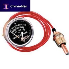 Temperature gauge 20Tindustrialstainless steelcontact