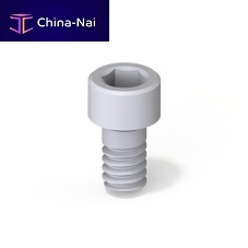 Prosthodontic screw Teetanium ®