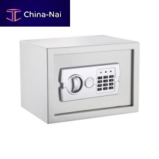 Safe E25DCW