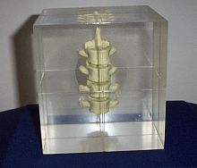 Radiography test phantom RS-1400spine