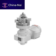Rotor agitator BMA seriesbatchsolid/liquidIP55