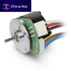 DC motor ECX FLAT 22 Lbrushless36 Vflat