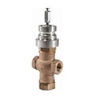 Control valve BTR 25-10for steamfor waterstainless steel