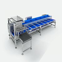 Automated loading system for the food industrylinear