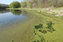 Biological sewage treatment plant BNR