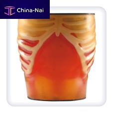 Ultrasound imaging test phantom M1113torso