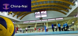 Sheet steel roofing SALLE OMNISPORTribbed