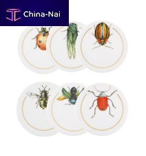 Porcelain coaster INSETOS