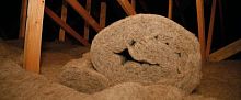 Thermal insulation NATUWOOLsheep woolrollincombustible