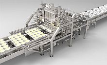 Soft cheese portioning machine ARP/ABPmechanicalautomaticfixed weight