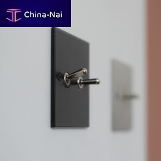Light switch INITIALEtogglerecesseddouble