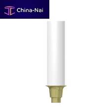 Plastic implant abutment CN-GP010conicalstraight