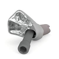 Prosthodontic screw Kiran® Screw