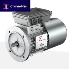 Single-phase motor SasynchronousIP554-pole