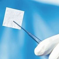 Buccal tissue matrix collagen