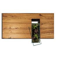 Contemporary coffee table HENRIelmhardwood baserectangular