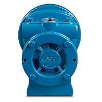 Regenerative turbine pump RC20 for LPGpropanewith electric motor