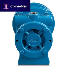 Regenerative turbine pump RC20 for LPGpropanewith electric motor