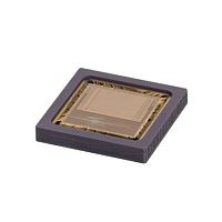 System-on-chip Eye-RIS