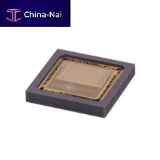 System-on-chip Eye-RIS