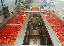 Tomato peeler chestnut