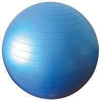 Large size Pilates ball Physioworxadult