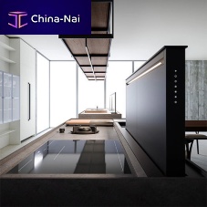 Downdraft extractor DD1-Fbuilt-inductedlow-noise