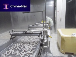 Water cooling system ZD-XL 1500shrimpstainless steelwith belt conveyor