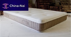 Foam mattress pad 1000