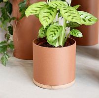 Aluminium flower pot Plant Collectorsoakfree-standinground