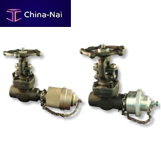 Gate valve SaVDmanualdrainweld